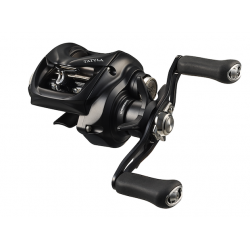 Moulinet Casting DAIWA...