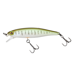 Poisson Nageur Suspending...