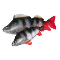 Leurres Souples Perches 8cm...
