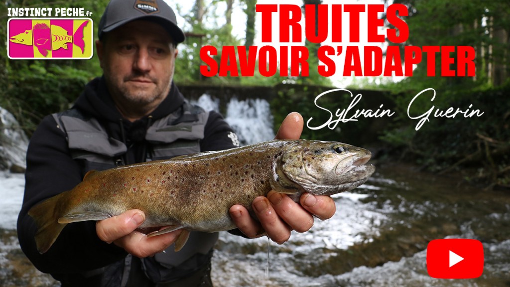 Pêche aux leurres des truites - Pêche Aveyron