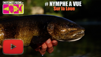 VIDEO : Nymphe à vue