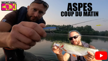 VIDEO : ASPES COUP DU MATIN