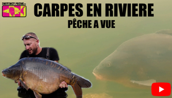 VIDEO : CARPES EN RIVIERE, PECHE À VUE