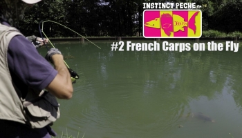 VIDEO : FRENCH CARPS ON THE FLY