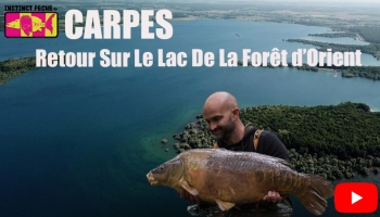 VIDEO : "CARPES" RETOUR SUR LE LAC DE LA FORET D'ORIENT